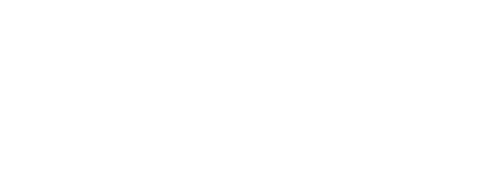 Dizupack Logo